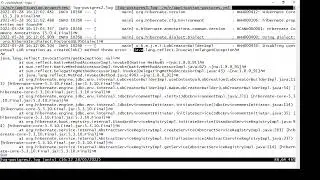 java.lang.reflect.InvocationTargetException