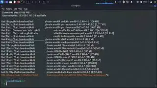 How to install top 10 kali linux tool 