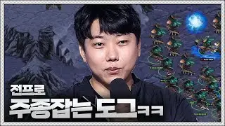 도그 vs ???