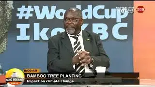 Good Morning Kenya  Impact of Climate Change, Bamboo Tree Planting