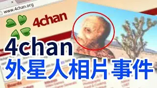外國討論區 4chan 流出真正的蜥蜴人照片 | 都市傳說 | PowPow