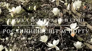 16 февраля 2023 г.