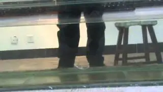 Тестирование рыболовных приманок