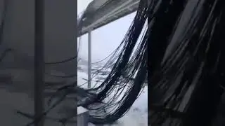 Этот снежок он запомнит на всю жизнь