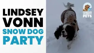 Lindsey Vonn's Snow Dog Party! 🐕❄️