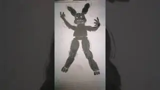 shadow  bonnie 