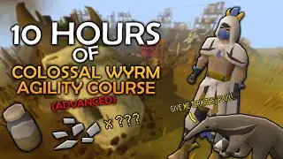 Loot From 10 Hours Of The Colossal Wyrm Agility Course
