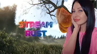 ♡ соло ♡ rust ♡ раст ♡ стрим ♡