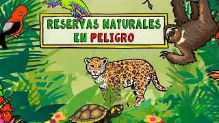La minería ilegal del oro en el Perú