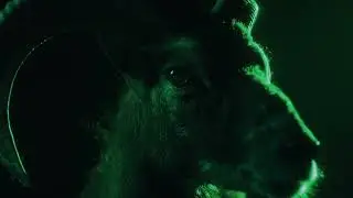 Teaser 01: Cactus