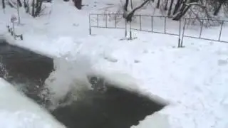 Морж-акромудист)