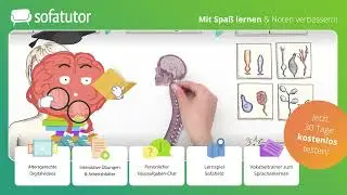 Vom Reiz zum Aktionspotential Erklärung – Sinneszellen & Rezeptortypen