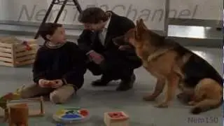 Kommissar Rex-Alex(5x2)