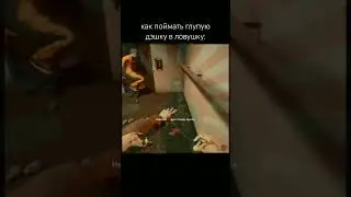 как поймать глупую дэшку в ловушку 