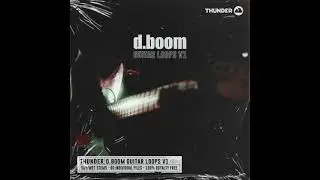 d.boom Guitar Loops V1 presented by Thunder Samples (HipHop Guitar Loops/Wet)