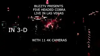 FIVE HEADED COBRA  IN 4K  3D  LIVE IN LAS VEGAS   BUZZTV SEASON 13 EPISODE 5