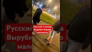 Русский слон вырубил борзую малолетку