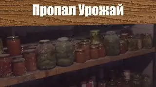 Проблемы с Погребом в погребе все попало каюк урожаю