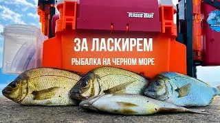 ЖАДНЫЕ АТАКИ ЛАСКИРЯ продолжаются! Утренняя рыбалка на Черном море. Ловля ласкиря на силикон.