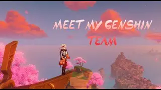 Meet My Genshin Team..