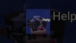 Friend SMP's are Just Better