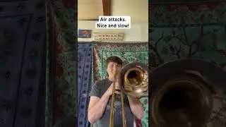 I do these almost every day #basstrombone #band