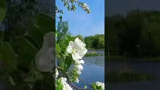 Жизнь мчится с огромной скоростью, но 😇💃🕺💃🕺😇😇😇