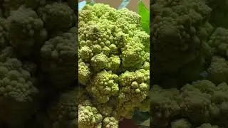 The #Fractal #Geometry  of cauliflower
