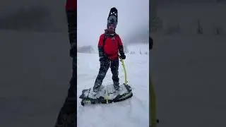 Отзыв на борд ELIQ от Ильи Неволина. Тесты борда в п. Приисковый