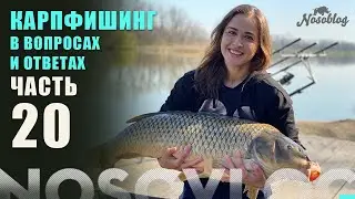 Карпфишинг в вопросах и ответах, А  Колесников, выпуск 20