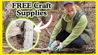 Foraging BIRCH BARK For Unique Nature-Inspired DIY Crafts