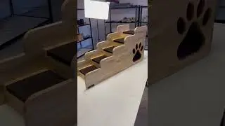 Ступеньки для собак