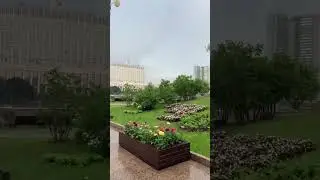 Как же прекрасна весна. Красивый вид на правительство РФ. Подпишись на 