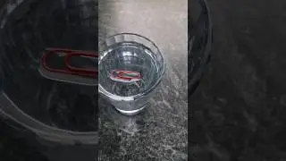Surface tension with paper clip in water