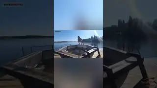 Отдых на воде 2024 / Комплекс с баней, парилкой, банным чаном, домиком и беседкой! #wrm #баня
