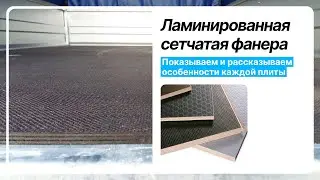 Ламинированная сетчатая фанера | Моттекс