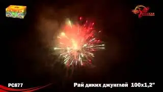 РС877 Рай диких джунглей МОДУЛЬ NEW