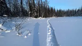 На лыжах в лесу. Снег не держит…