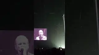 Depeche Mode - Wagging Tongue