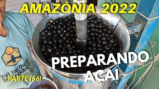 BACK TO THE MANGUEIRA COMMUNITY (PART 56) PREPARING AÇAI