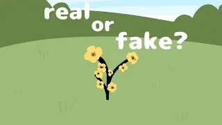 Meme // Real or fake? // Переделка видео // Ориг: ×-Просто_я-× #инмт