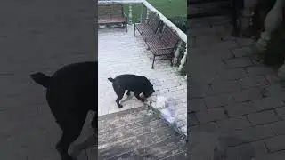 Ребенок гуляет 🥰