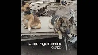 26 декабря 2021 г.