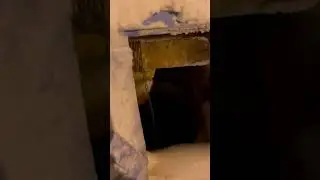 Когда твой друг, попадает всегда приключения, и ты его поддерживаешь 😄😄