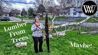 Attempting to Turn a Tree Into Lumber