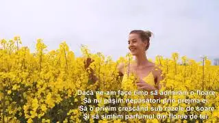 DACĂ NE-AM FACE TIMP...