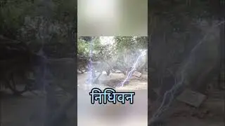 Bake Bihari #trending #youtubeshorts #viral #shortfeed #ytshorts #youtuber #viral