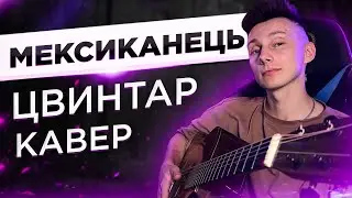 Цвинтар - Мексиканець на гітарі (кавер VovaArt)