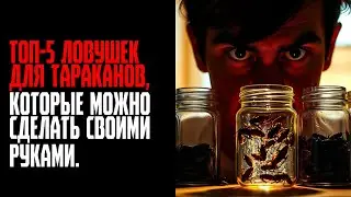 TOP 5 DIY COCKROACH TRAPS YOU CAN MAKE AT HOME