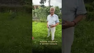 ЭНЕРГИЯ ЗЕМЛИ: Как восполнить энергию и быстро восстановить силы